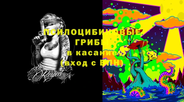 spice Алексин